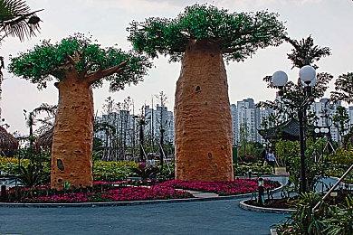 《宝可梦TCG Pocket》全球下载量已超1亿次